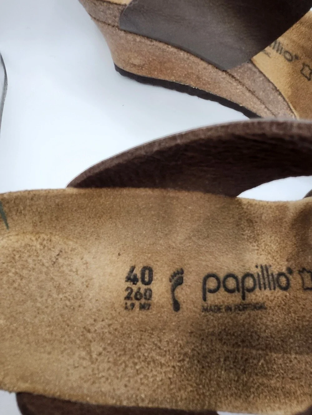 Papillio beautiful by